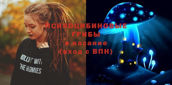 ГАЛЛЮЦИНОГЕННЫЕ ГРИБЫ Магадан