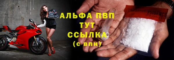 ГАЛЛЮЦИНОГЕННЫЕ ГРИБЫ Магадан